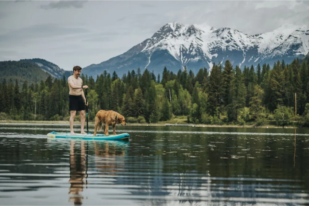 Is it Easy to Fall Off a Paddle Board?