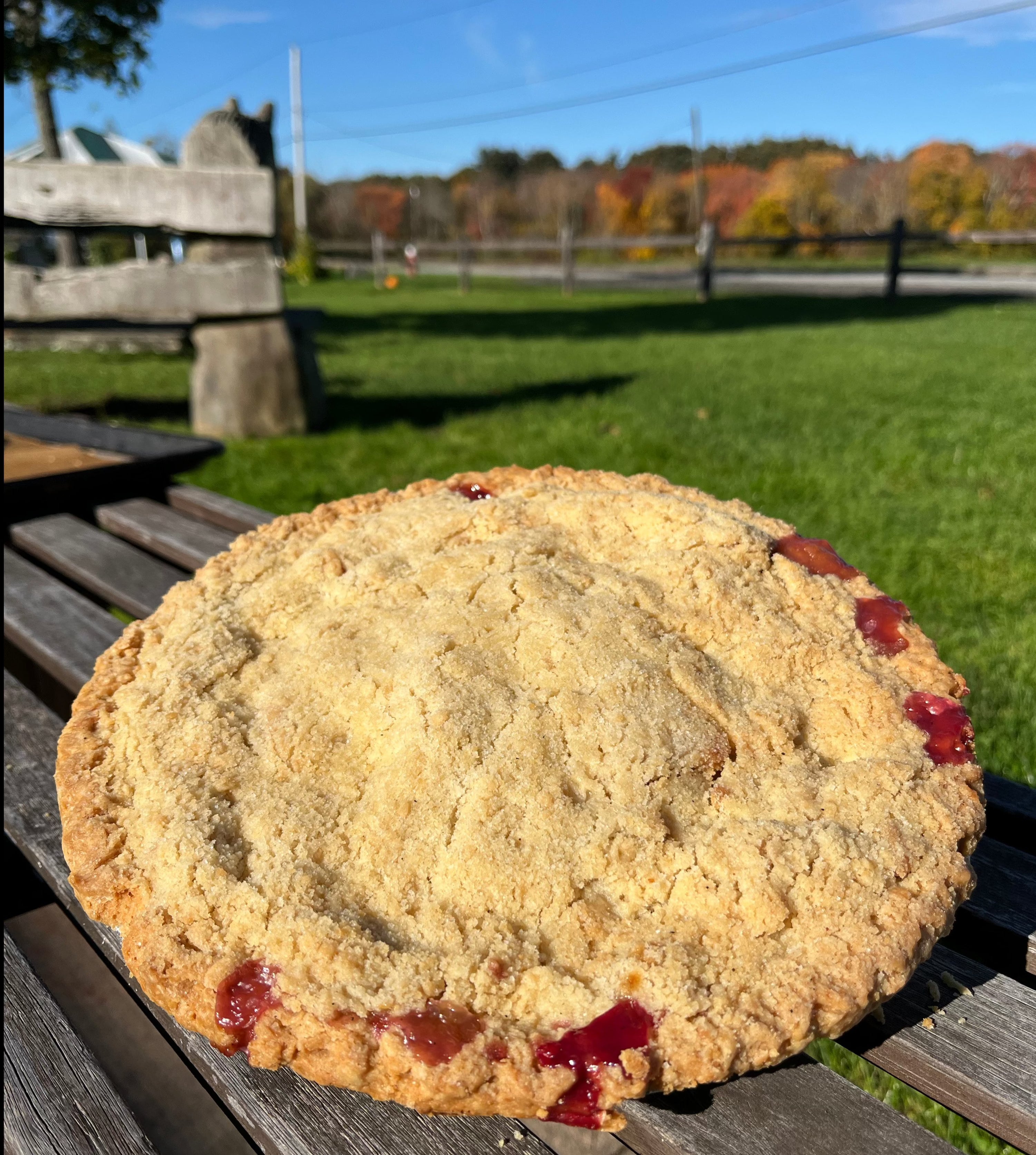 Apple Raspberry Pie - 10"