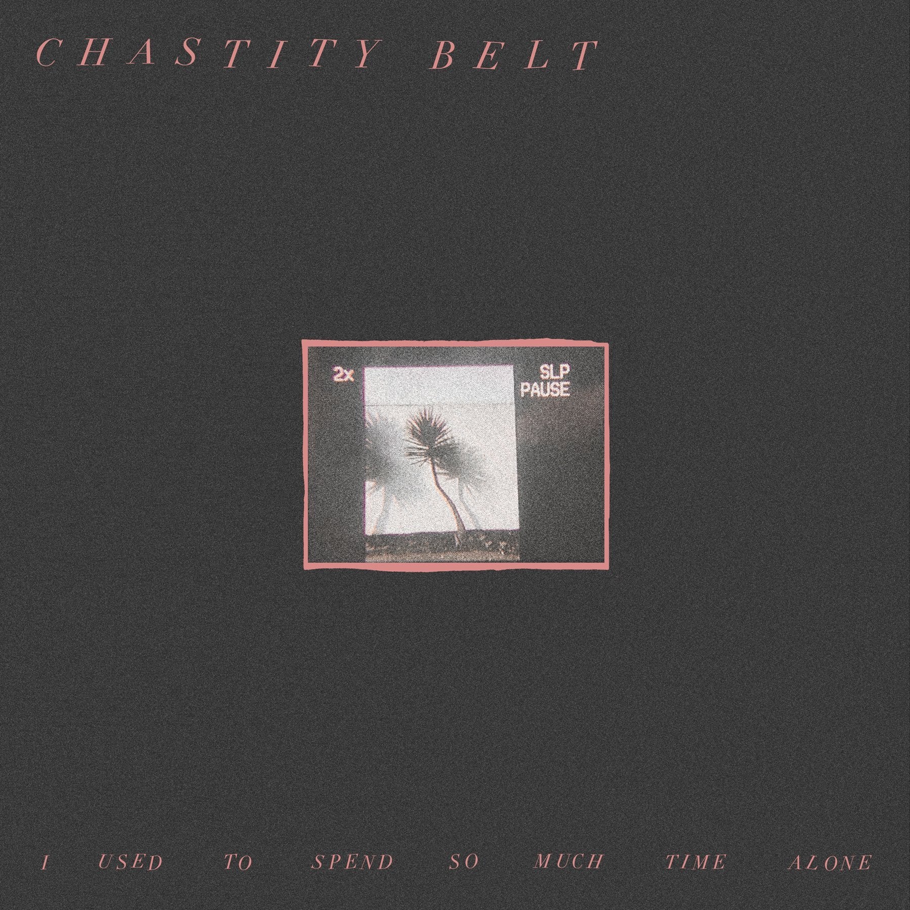 Fancy Chastity Belt