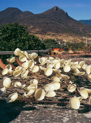 beeswax bleaching in the sun by casa viviana - mexico