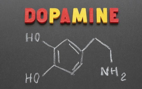 dopamine