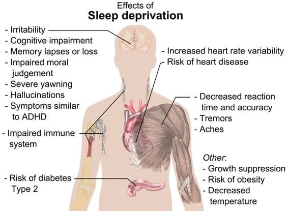 effects of sleep deprivation