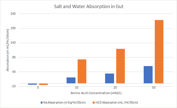 salt absorption 1