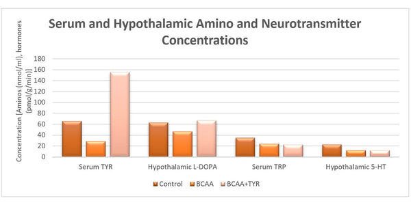 serum and hypothalamic amino visual