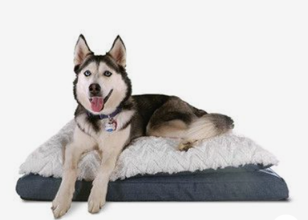 PawSheets fits Heart and Tail Pillow Top Orthopedic Dog Bed