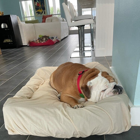 Bulldog sleeping on a clean dog bed cover by PawSheets