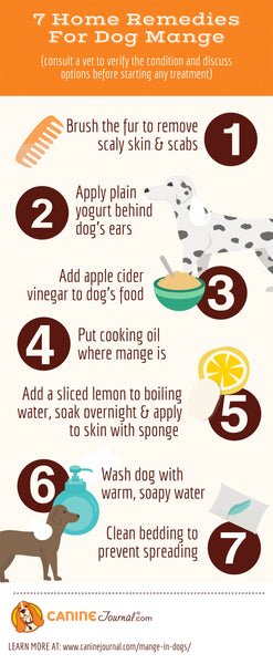 Home remedies for treating mange in dogs