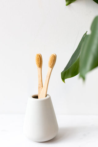 reusable toothbrush in holder