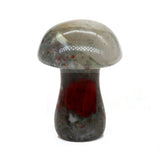 champignon lithotherapie mineral cristal pierre de sang