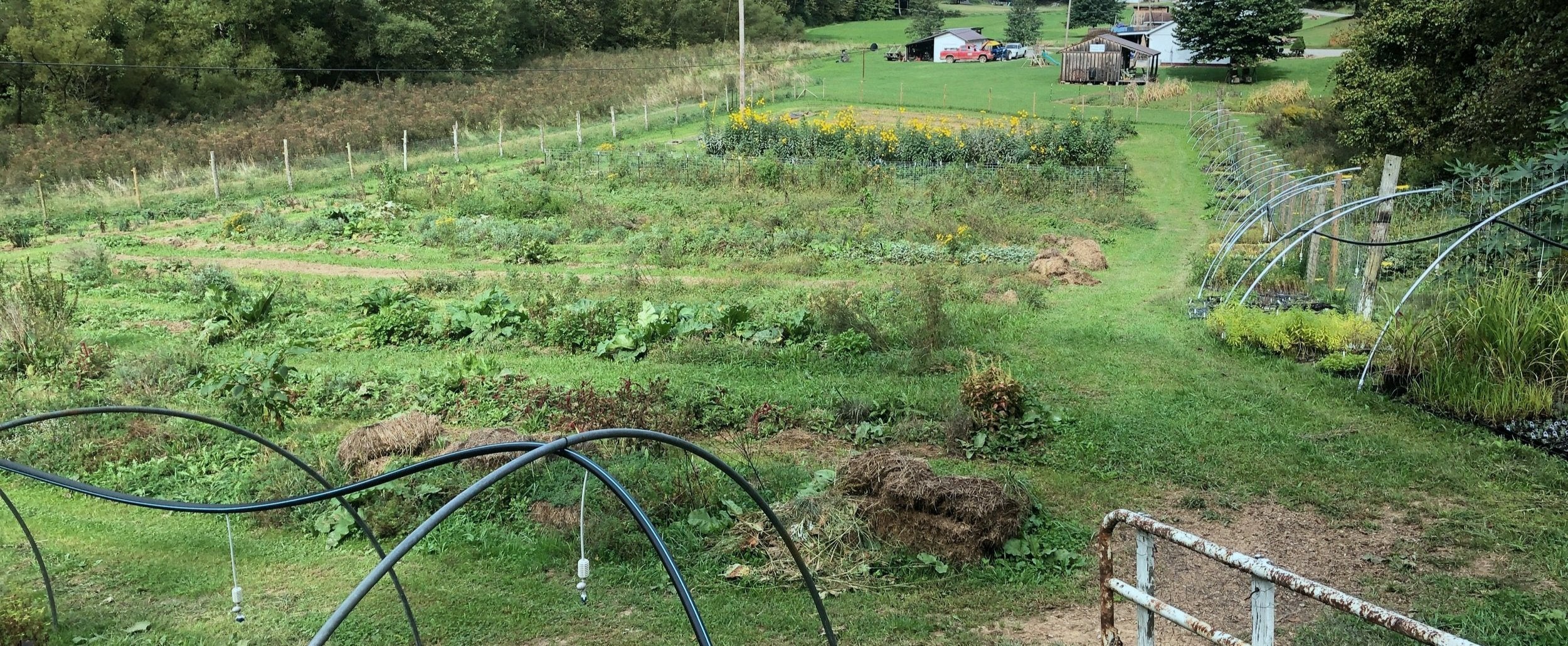 Smoke Camp Crafts West of Permaculture Garden