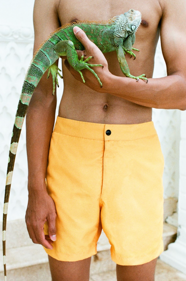 Banker Swim Shorts in Daff Yellow product