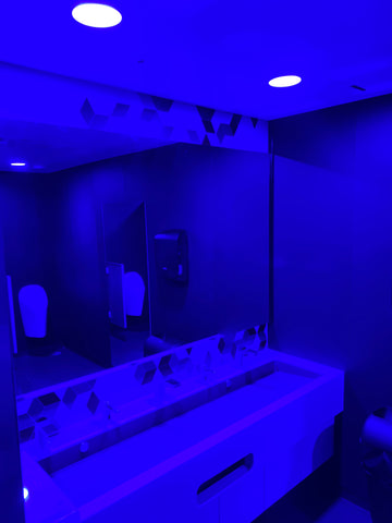 Restroom in blue light mode onboard Aurora Botnia