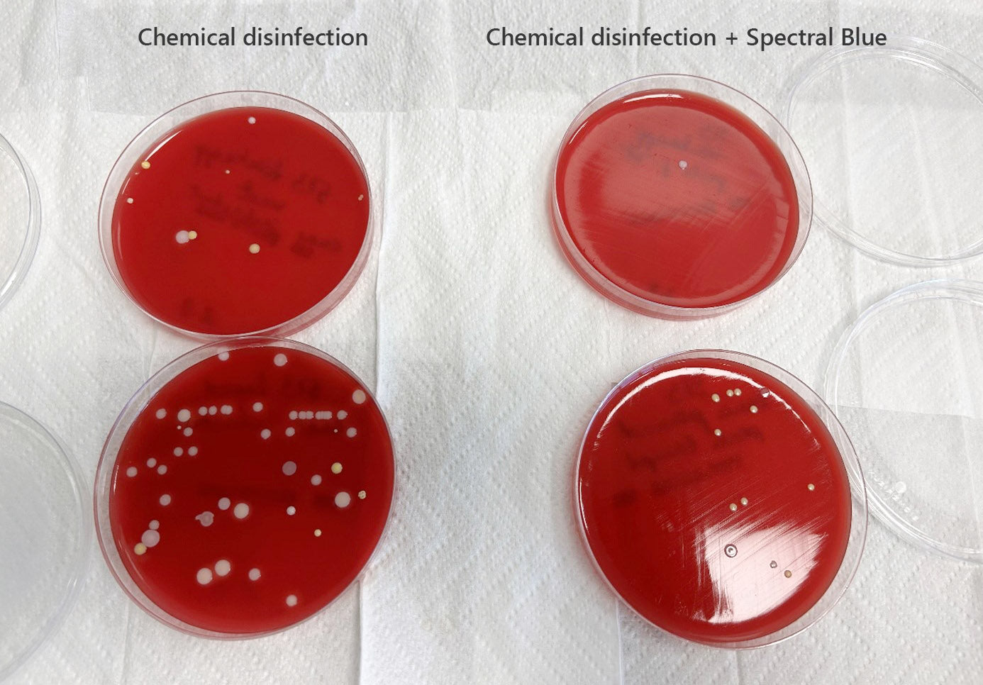 Synlab's test shows that chemical disinfectant doesn't always perform as expected. But Spectral Blue does.