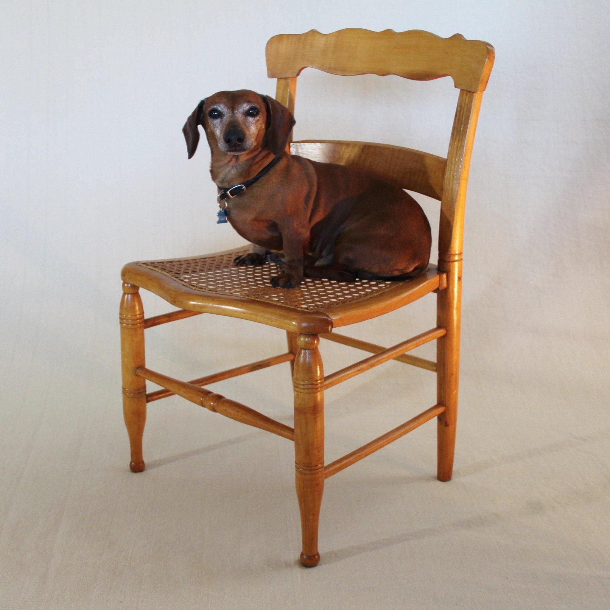 Classic Pine Kitchen Chair With Cane Seat Cook Street Vintage   IMG 2510 