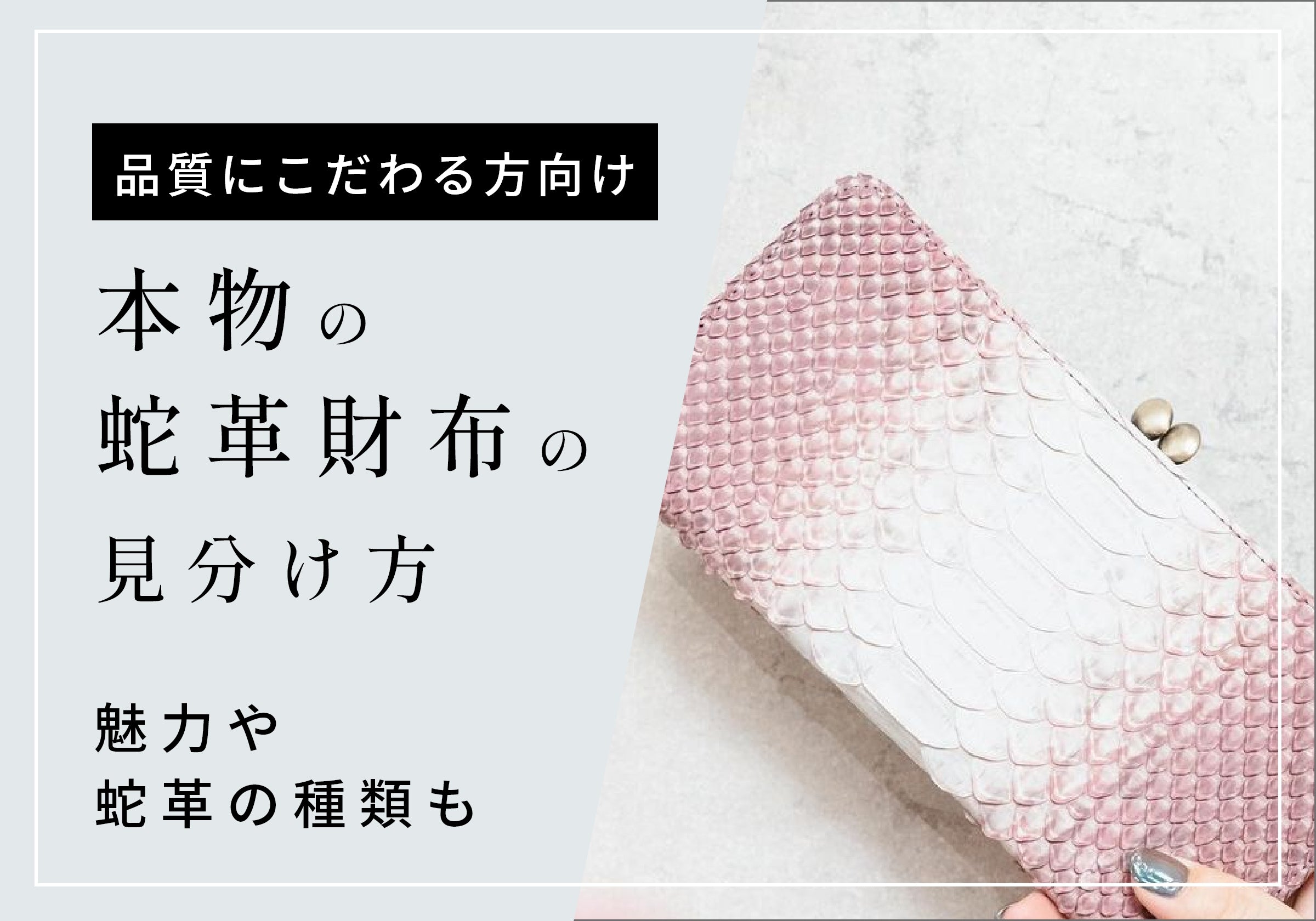 クロコダイル  パイソン　本物保証　説明文です。