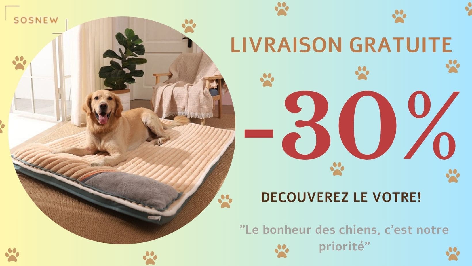 coussin-pour-chien-offre