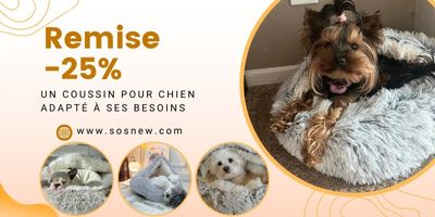 coussin-pour-chien-offre