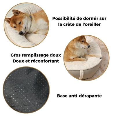 lit-pour-chien-anti-dérapant