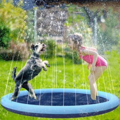 piscine-pour-chien-amusant