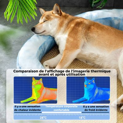 tapis-rafraichissant-chien-Anti-chaleur