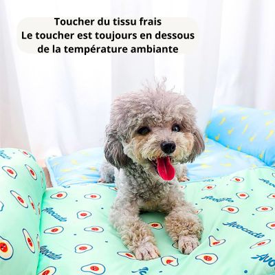 tapis-rafraichissant-chien-frais