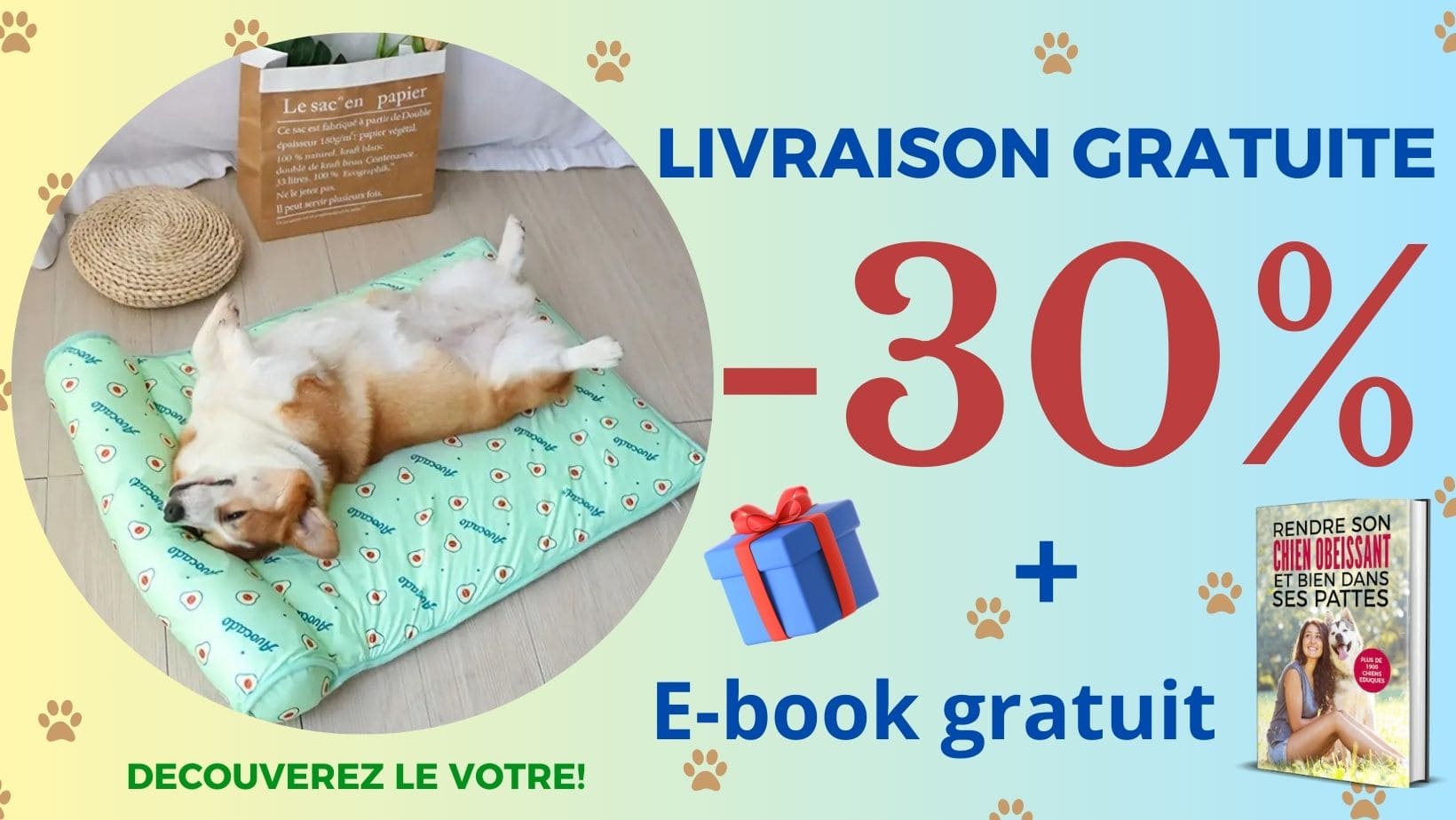 tapis-rafraichissant-chien-offre