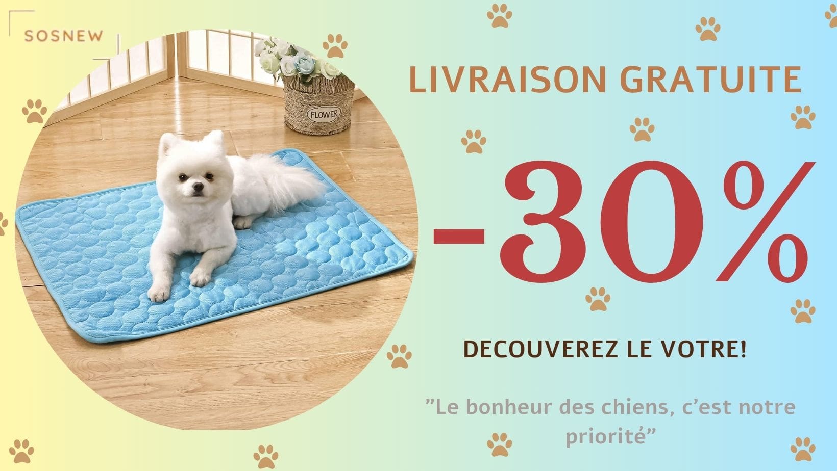 tapis-rafraichissant-chien-offre