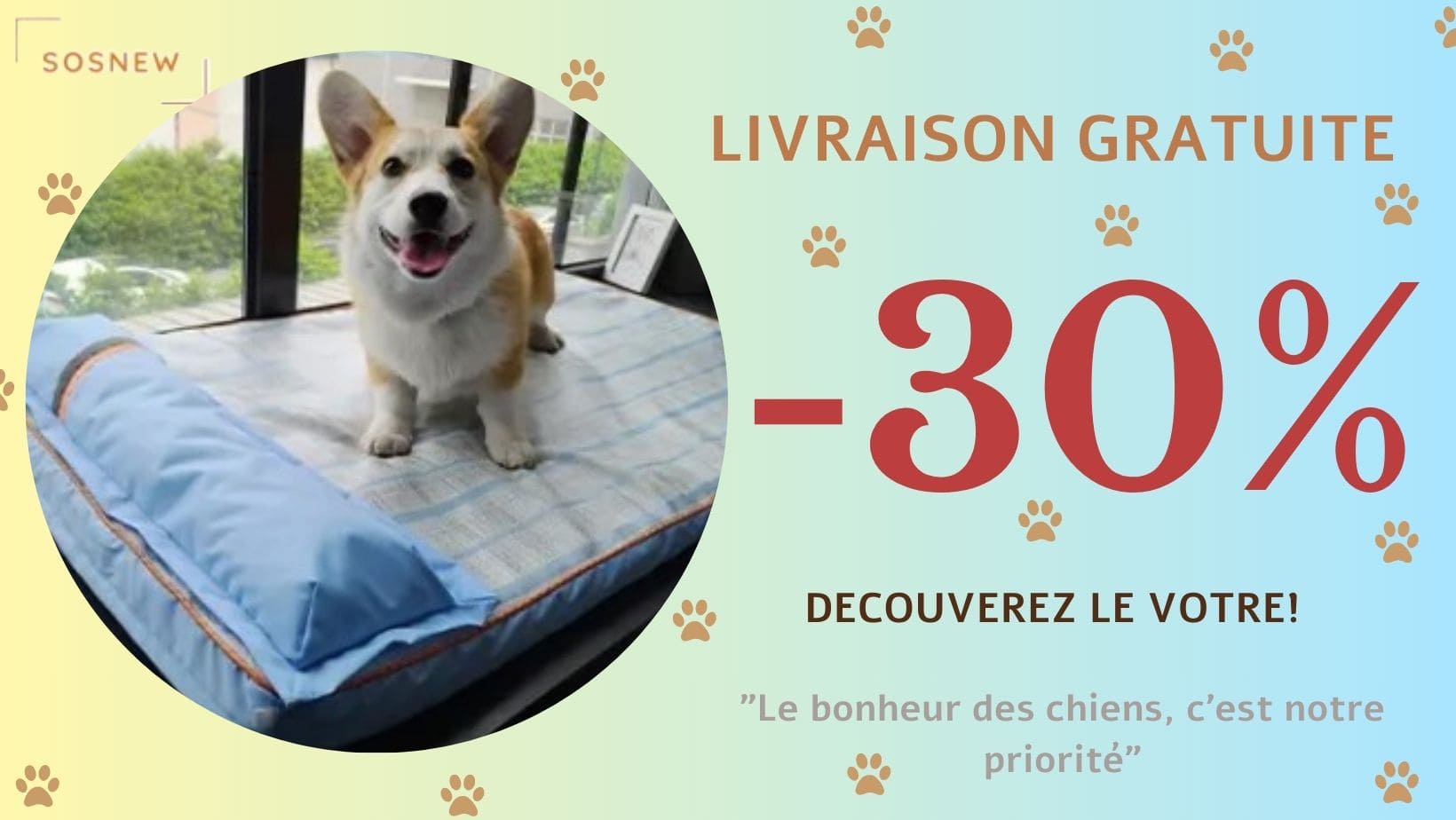 tapis-rafraichissant-chien-offre