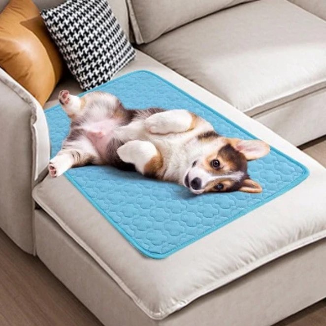 tapis-rafraichissant-chien-doux