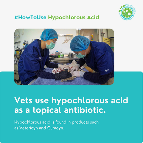 Vets using hypochlorous acid