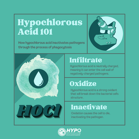 how hypochlorous acid inactivates pathogens