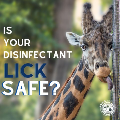 lick safe disinfectant