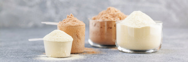 Image of scoops of protein and carbohydrate powders.