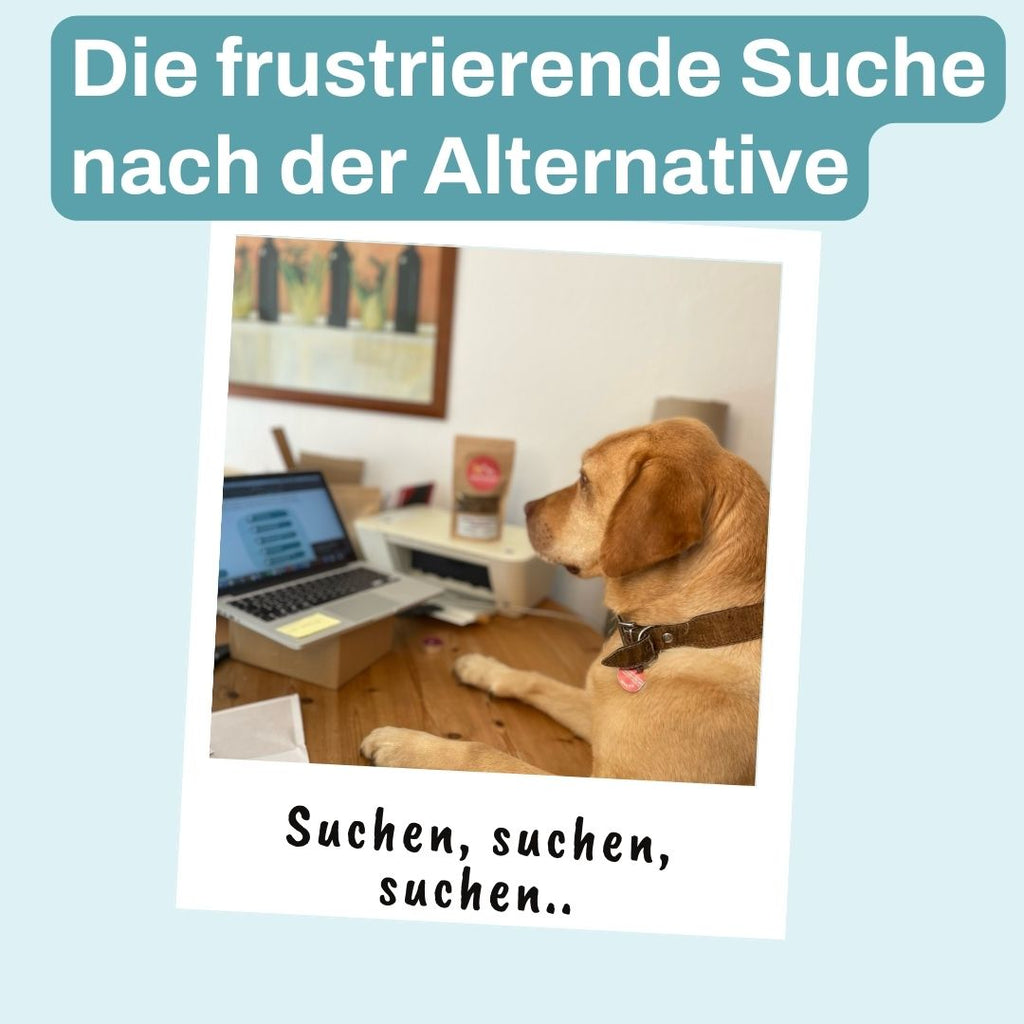 suche nach einer alternative hundefutter alpenwuff