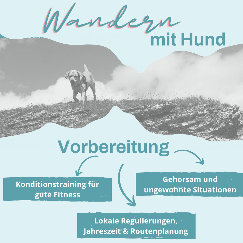 Wandern mit Hund - Vorbereitung