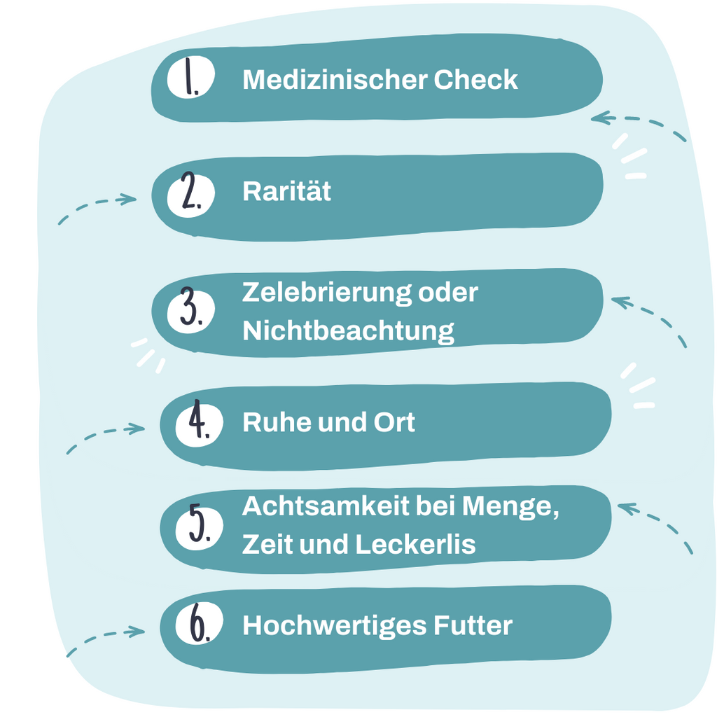 Hund frisst nicht und Hund verweigert Futter: Tipps für Umgang und Lösung