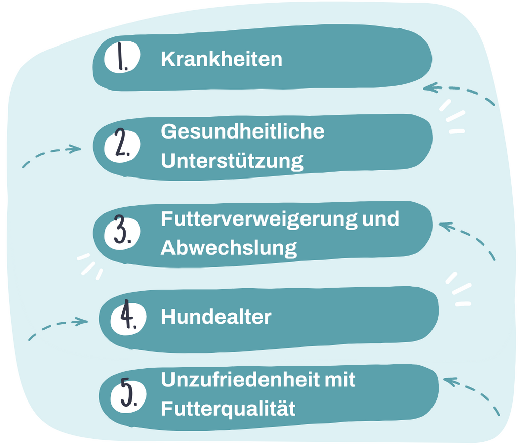 Gründe für eine Futterumstellung