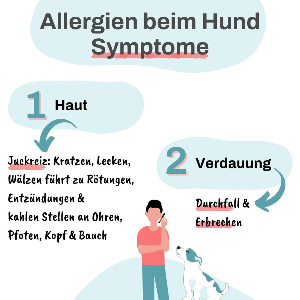 Allergien beim Hund Symptome Alpenwuff
