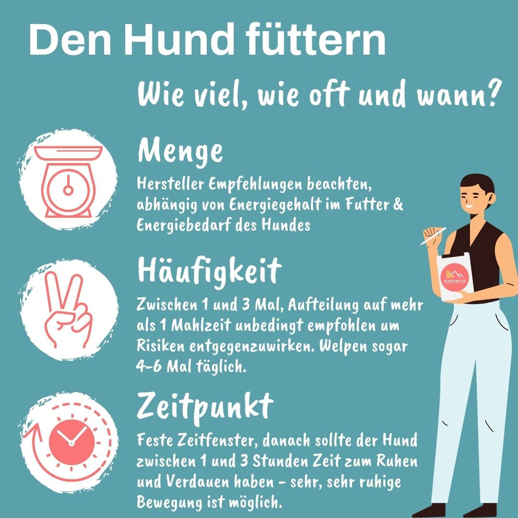 den hund füttern wie viel wie oft und wann Alpenwuff