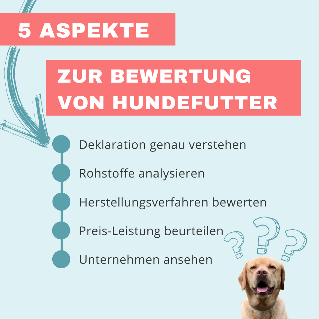 Hundefutter Test - 5 Aspekte zur Analyse von Hundefutter
