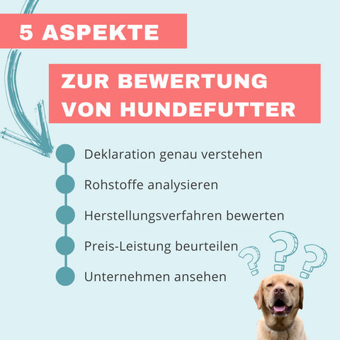 5 Aspekte zur Bewertung von Hundefutter - Dein Hundefuttertest