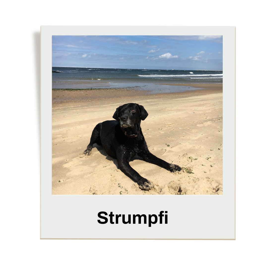 Strumpfi