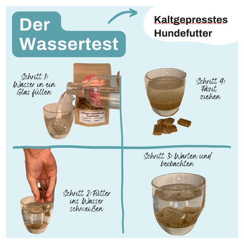 Kaltgepresstes Hundefutter Blog