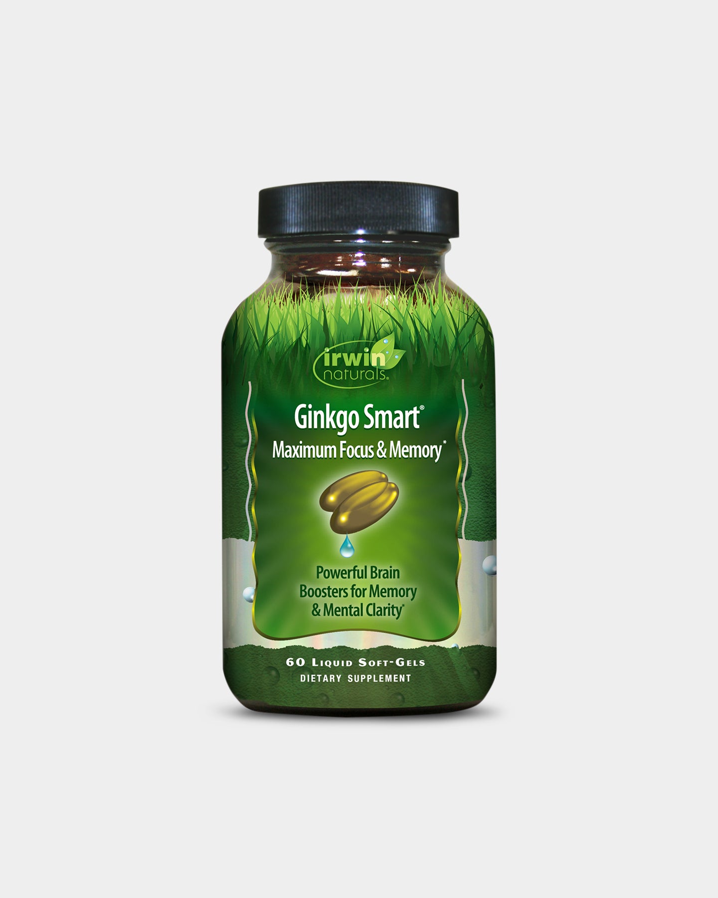 Image of Irwin Naturals Ginkgo Smart