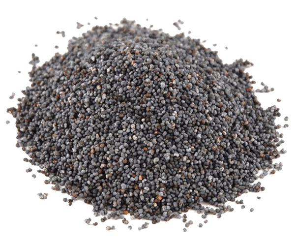 FOREST POPPY SEED