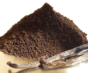 forest Ground vanilla bean powder