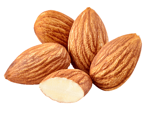 Forest Almonds
