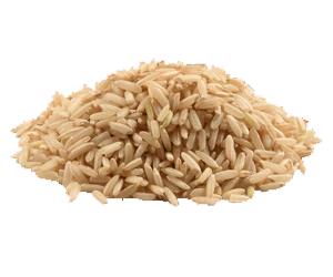 forest Brown rice protein