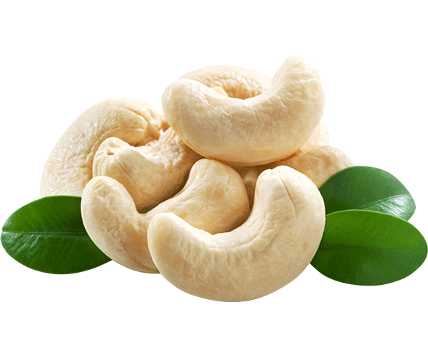 FOREST CASHEWS