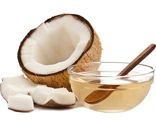 forest COCONUT OIL